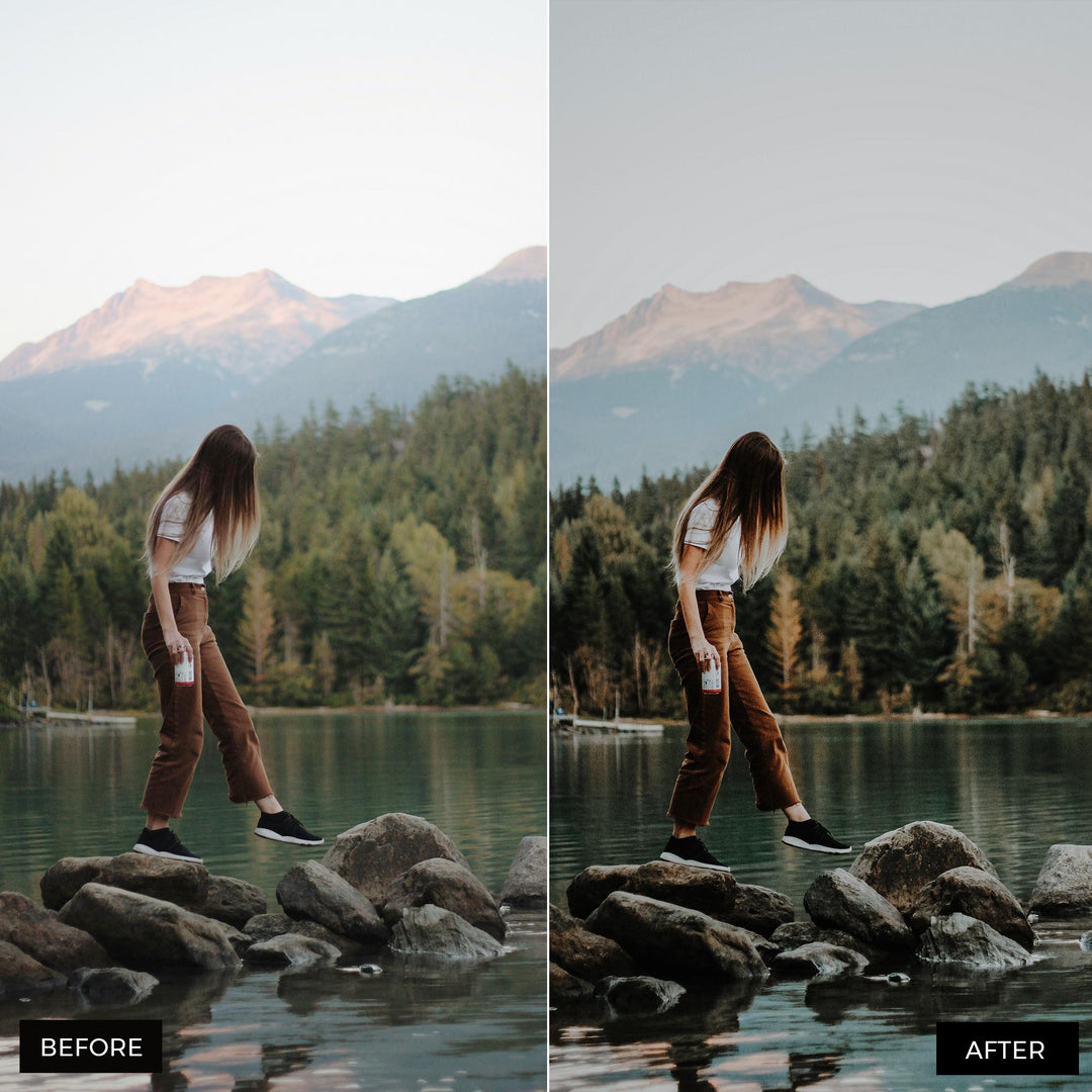 Moody Blogger Presets