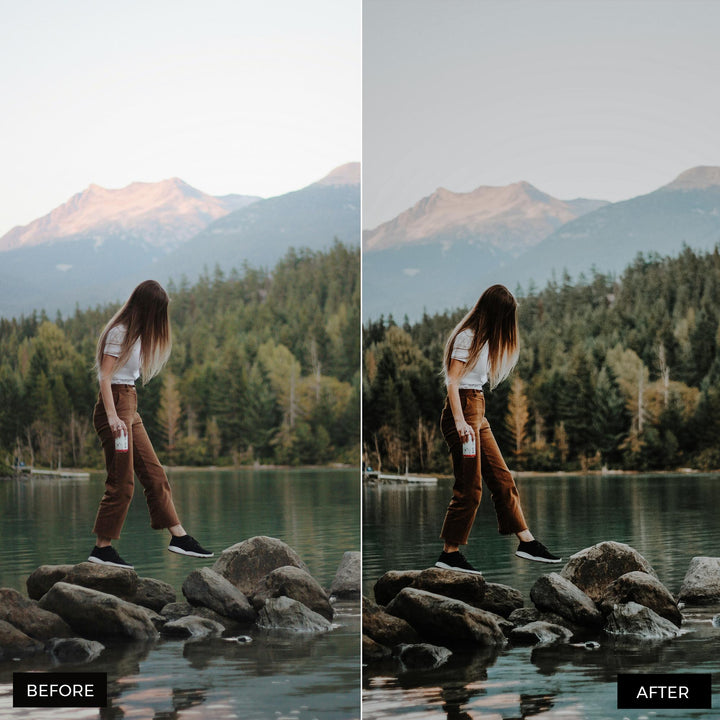 Moody Blogger Presets