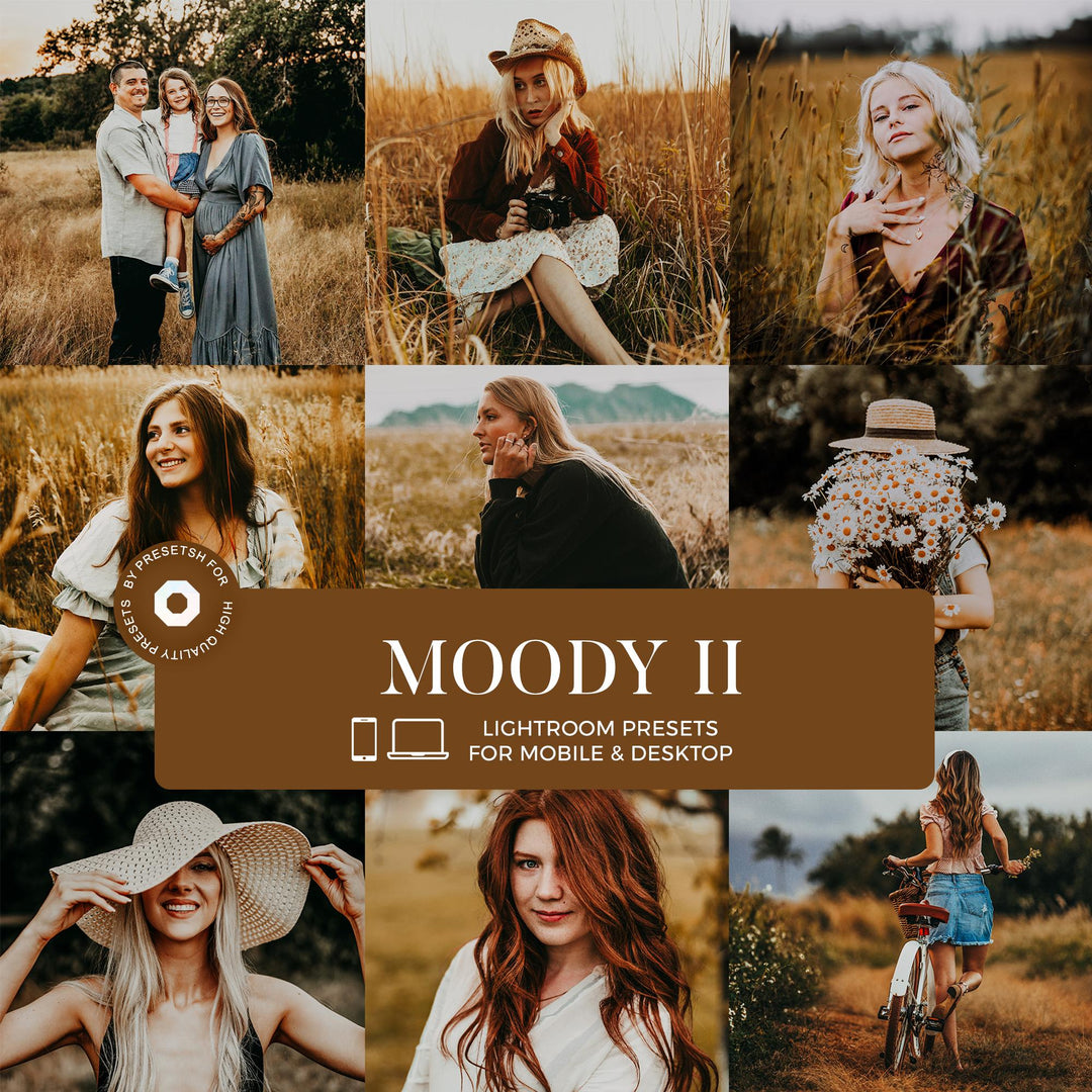 Moody Lightroom Presets
