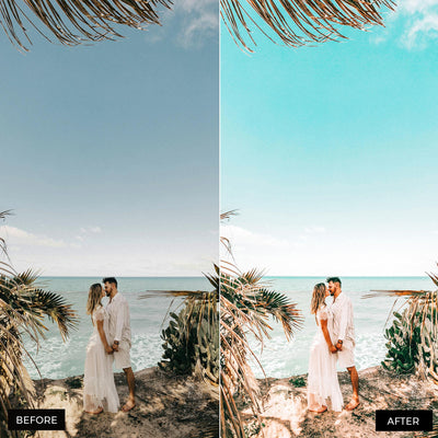 Paradise Lightroom Presets