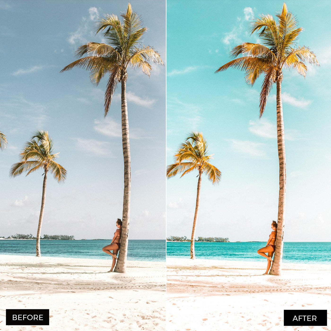 Paradise Lightroom Presets