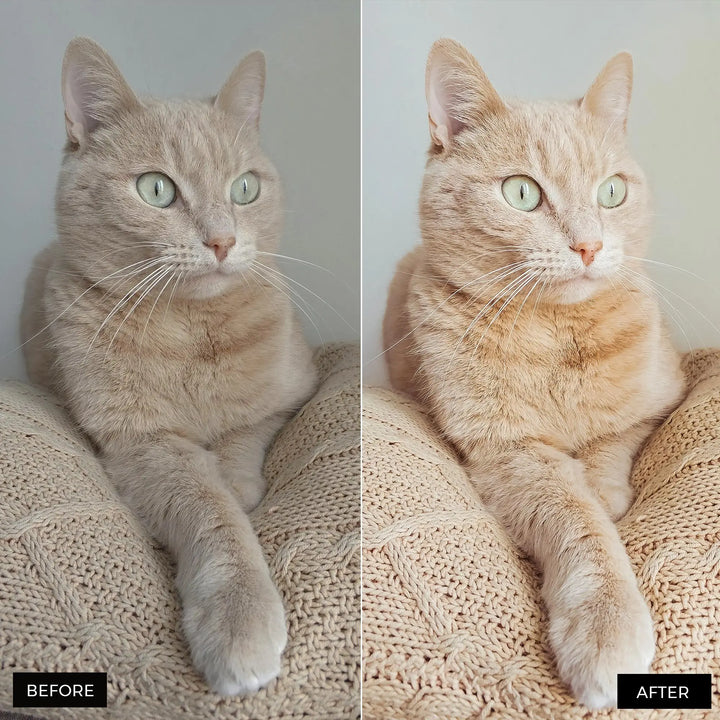 Pets lightroom presets