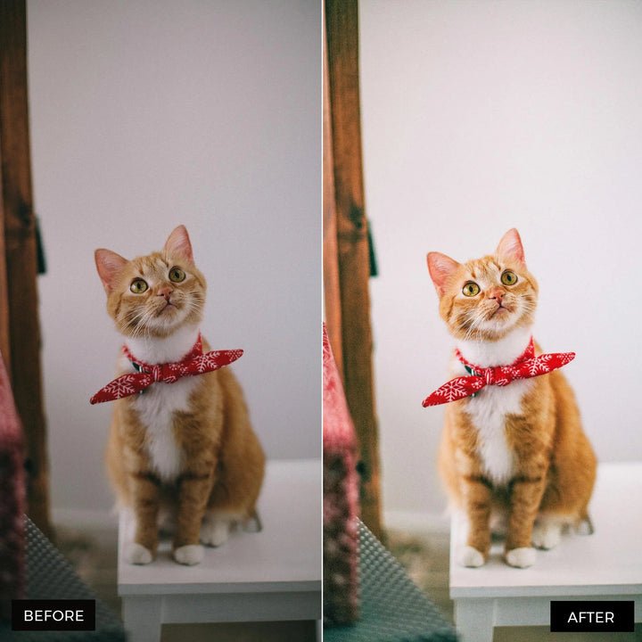 Pets Lightroom Presets