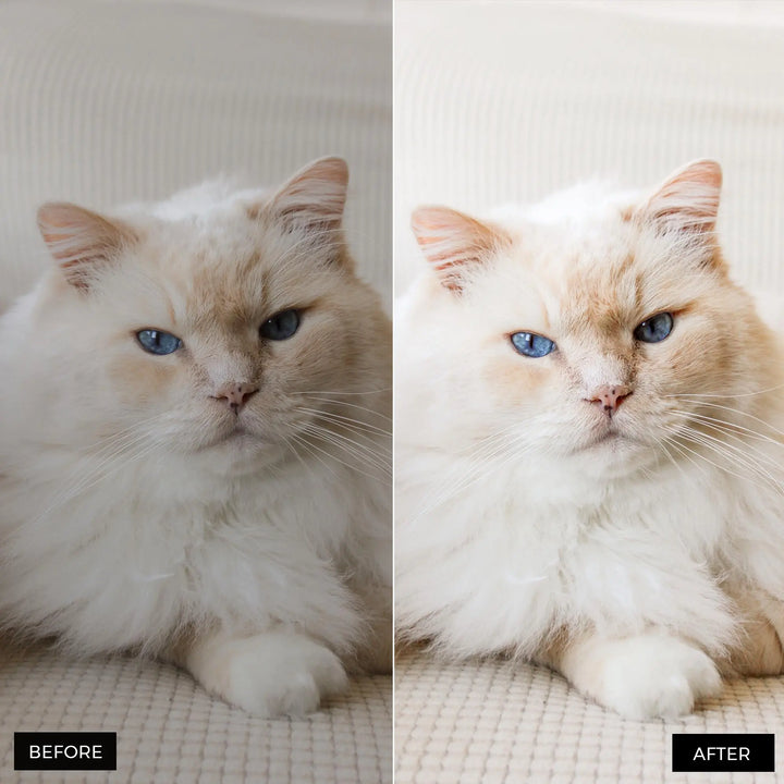 Pets Lightroom Presets