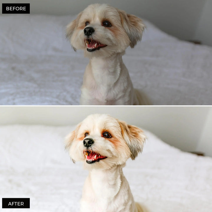Pets Lightroom Presets