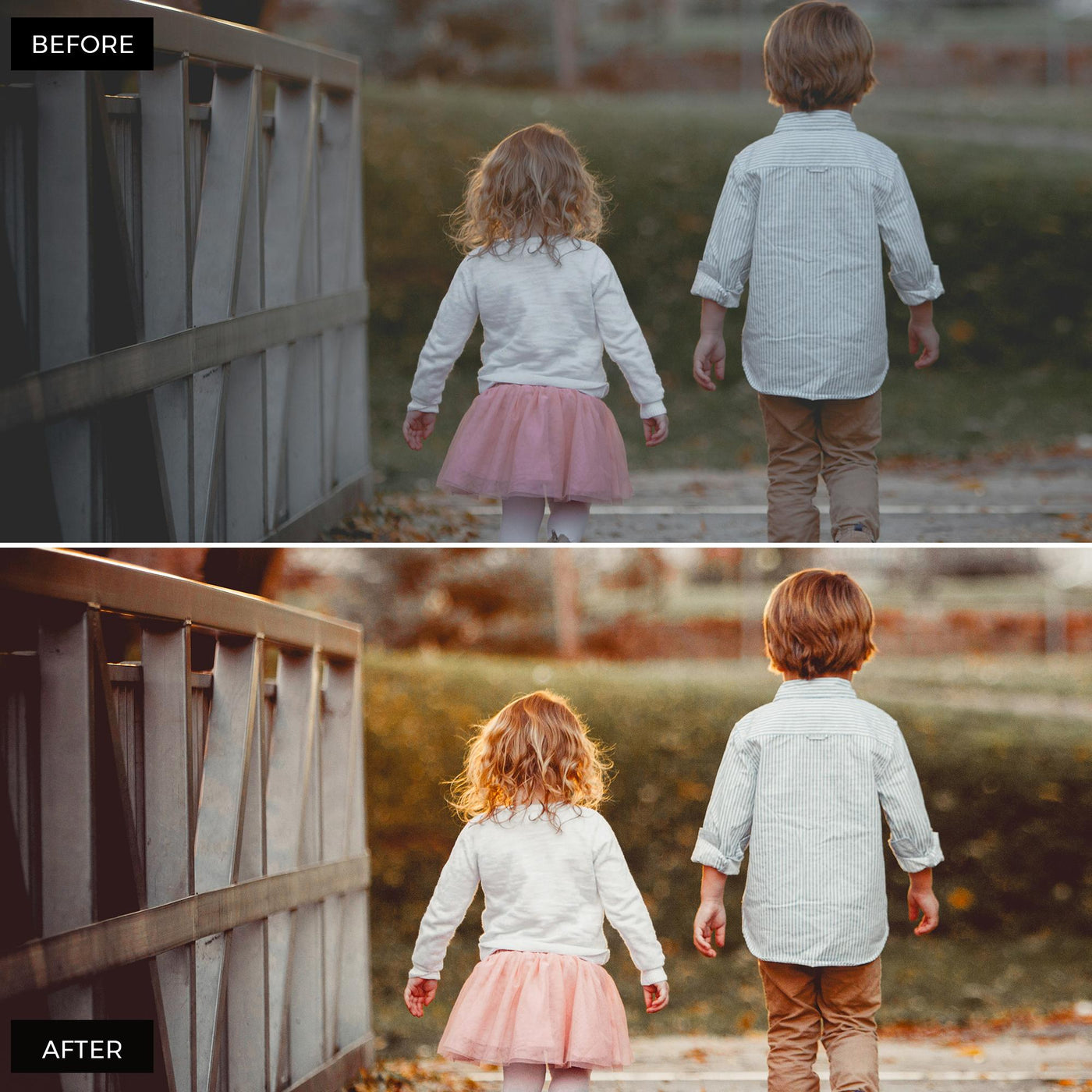 Portraits lightroom presets 