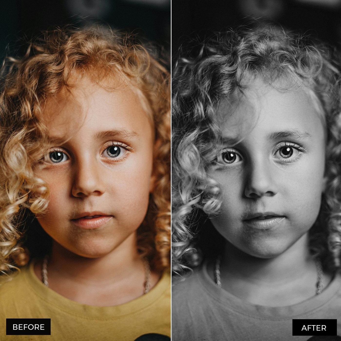 Portraits lightroom presets 