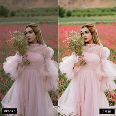 Spring Dream Lightroom Presets