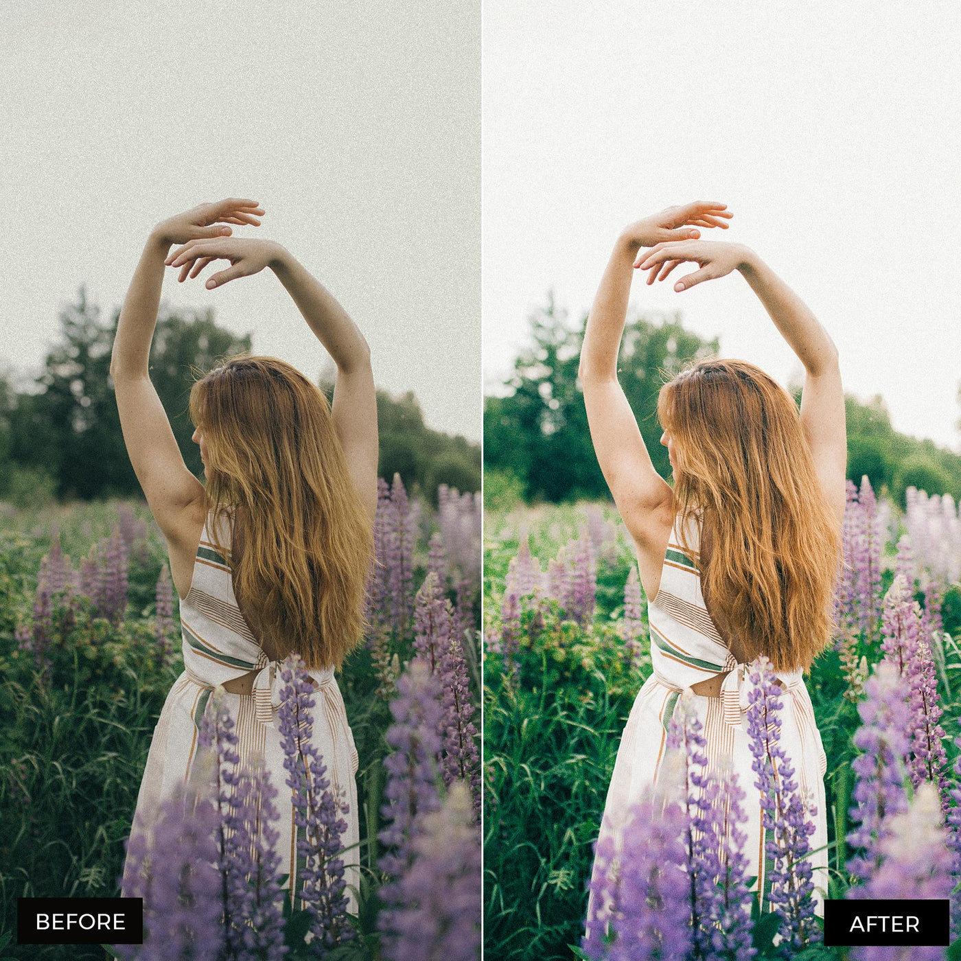 Spring Dream Lightroom Presets