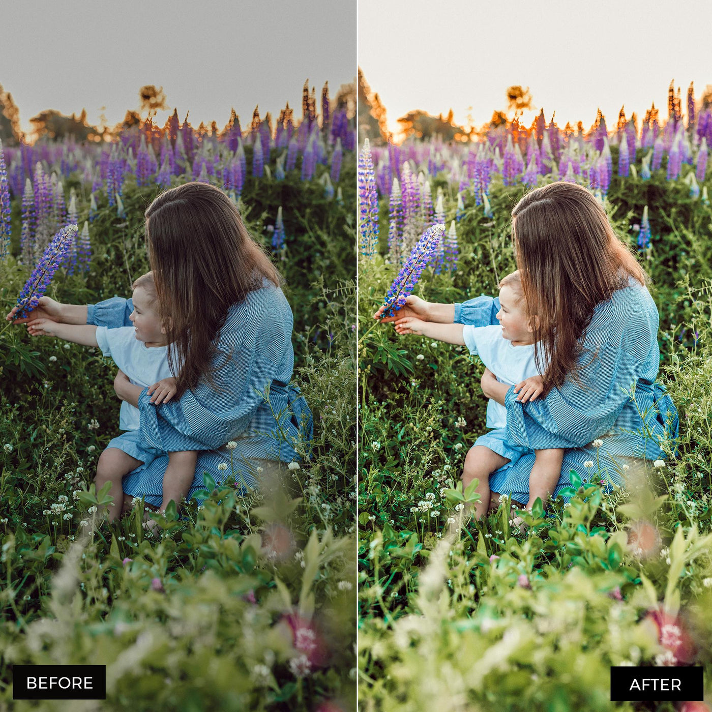 Spring Dream Lightroom Presets