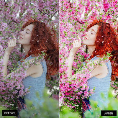 Spring Dream Lightroom Presets