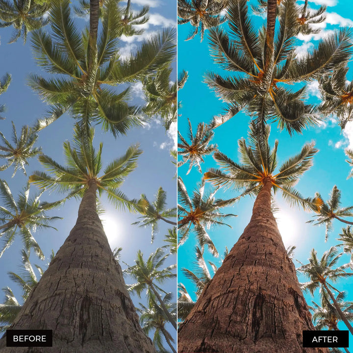 Summer Presets