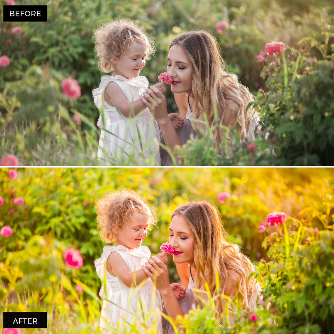 Sunlight Lightroom Presets
