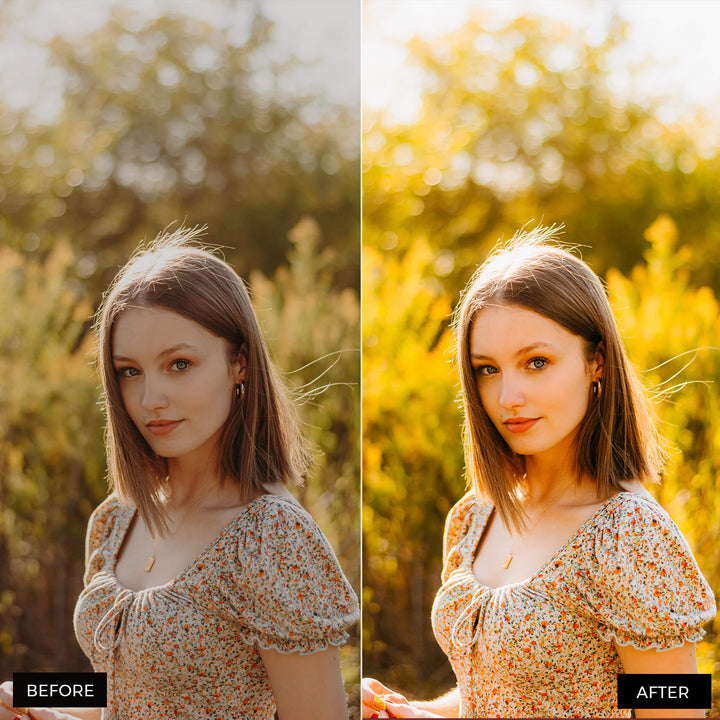 Sunlight Lightroom Presets