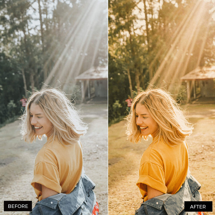 Sunlight Lightroom Presets