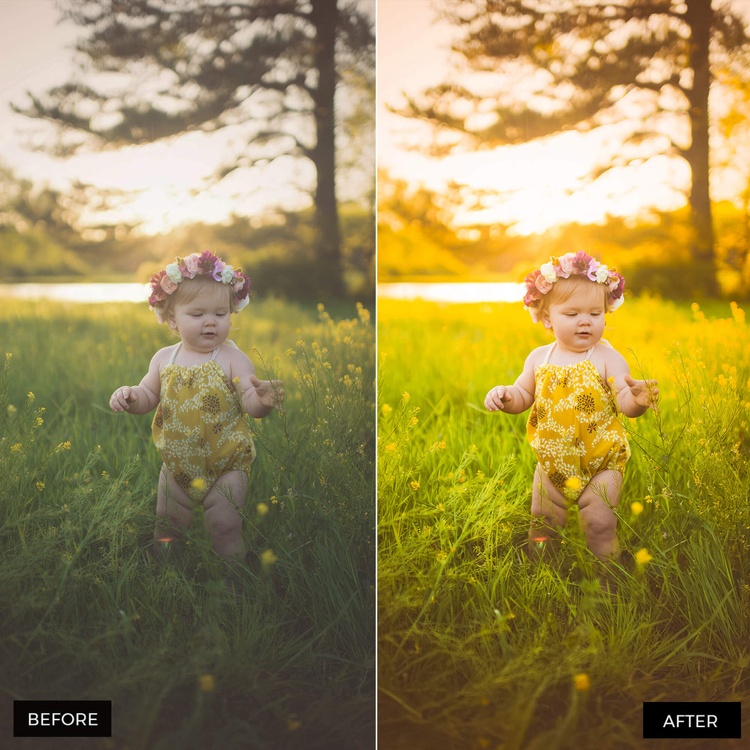Sunlight Lightroom Presets