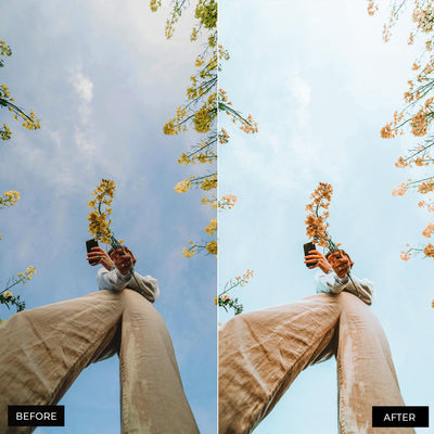 Sunshine Lightroom Presets