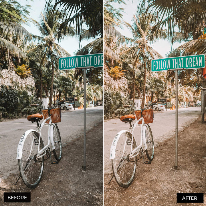 Travel Blogger Preset  