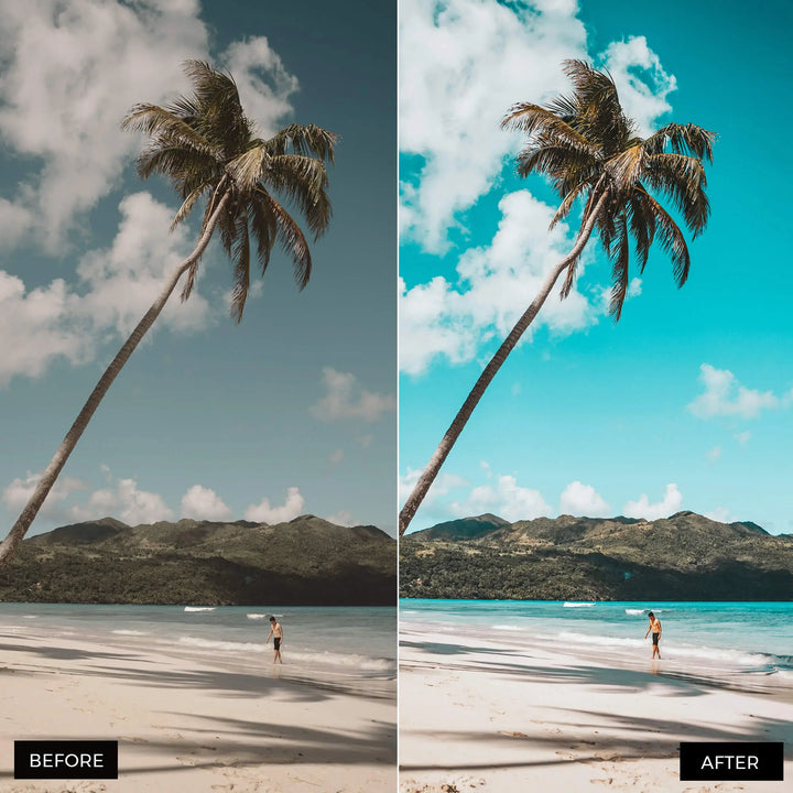 Tropical Lightroom Presets 