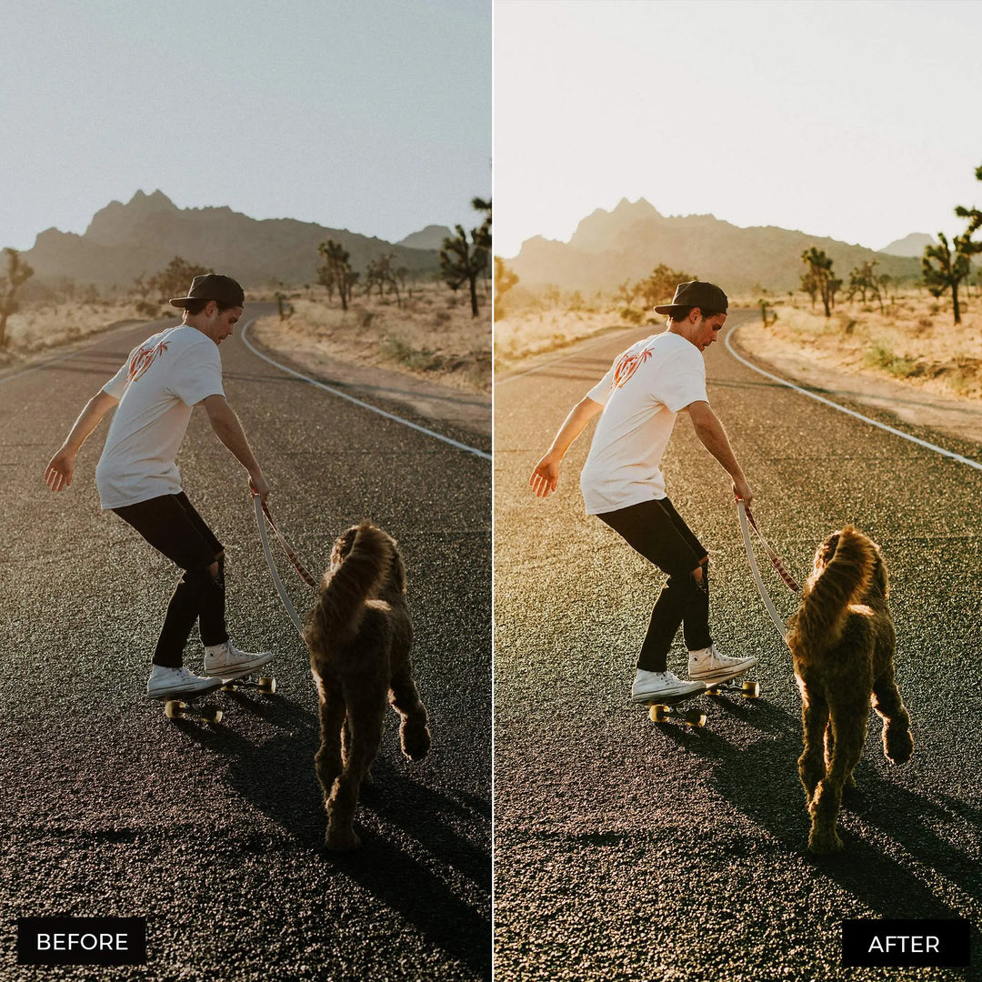 Wanderlust Lightroom Presets