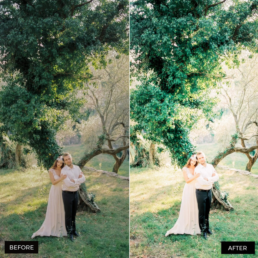 Fine Art Wedding Lightroom Presets