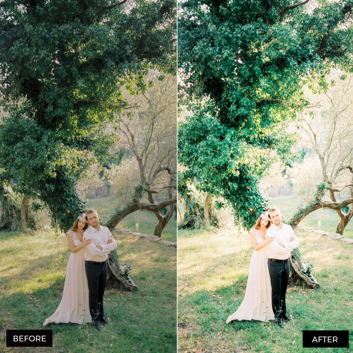Fine Art Wedding Lightroom Presets