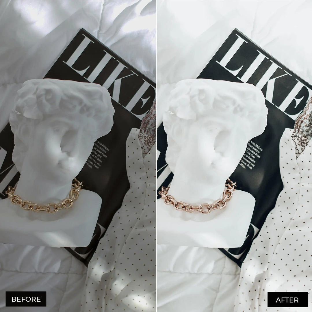 White Blogger Lightroom Presets 
