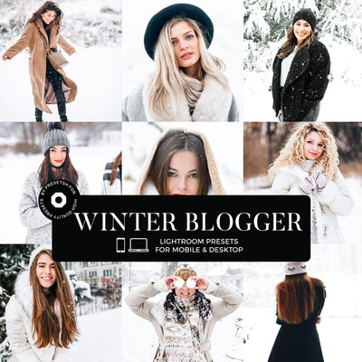 Winter Blogger Presets