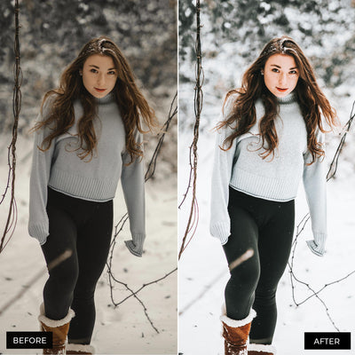 Winter Blogger Presets