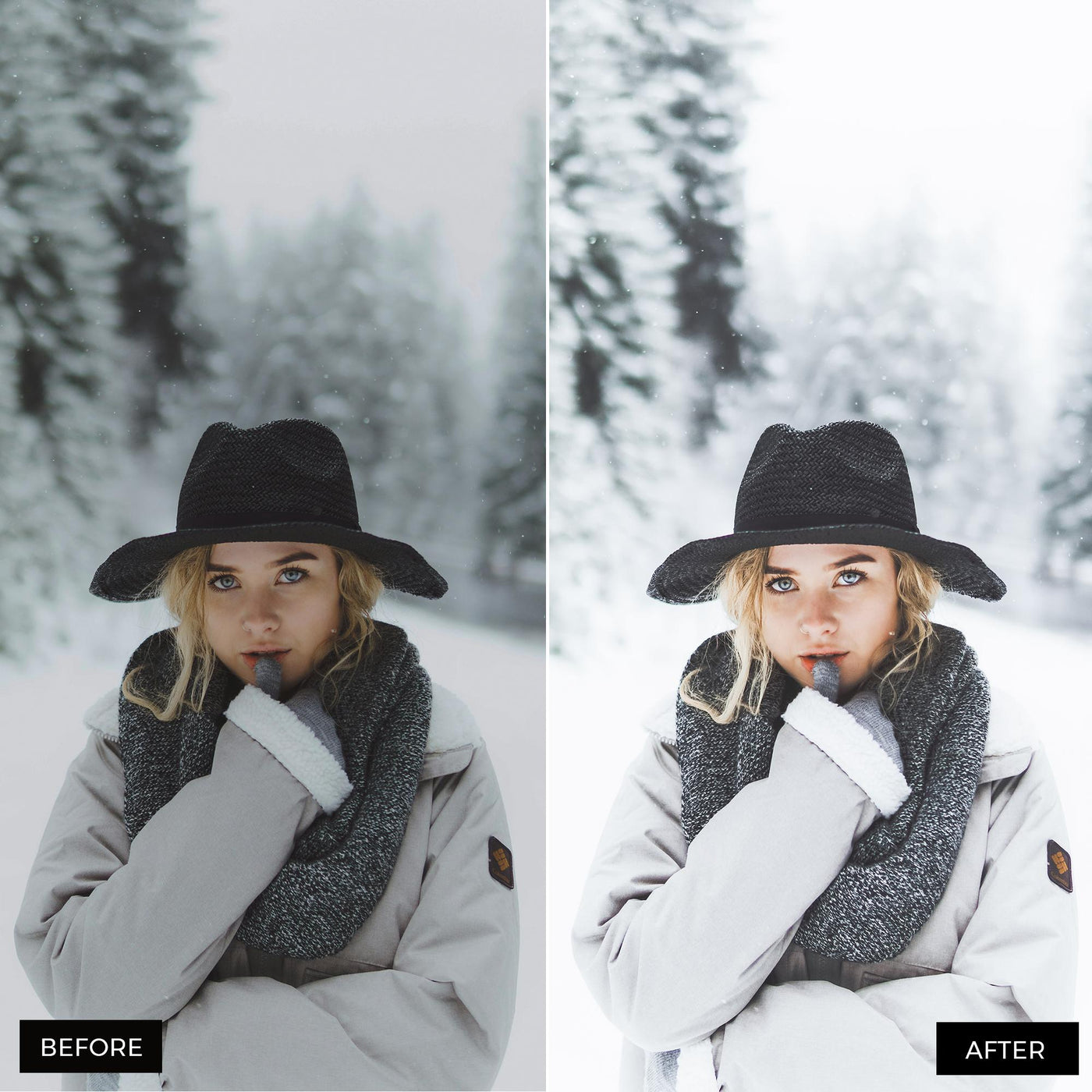 Winter Blogger Presets