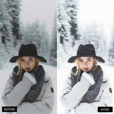 Winter Blogger Presets