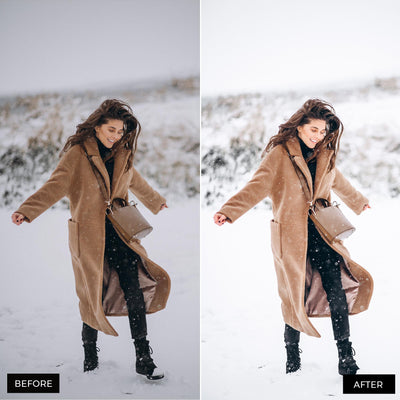 Winter Blogger Presets