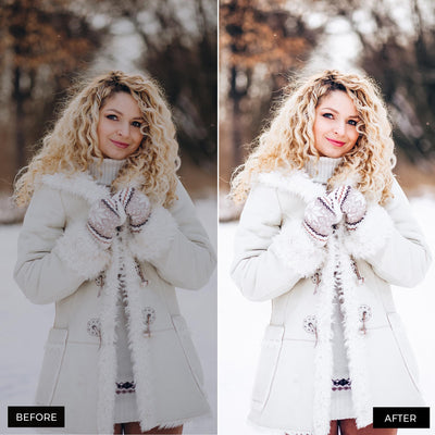 Winter Blogger Presets