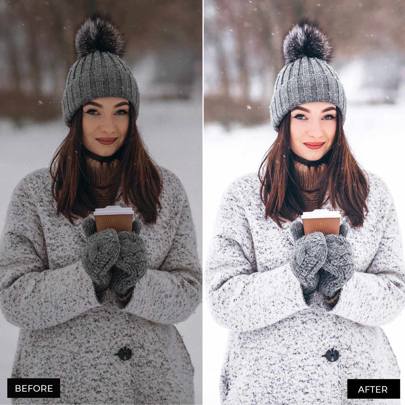 Winter Blogger Presets