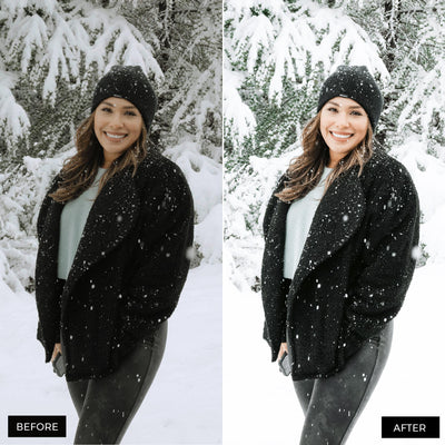 Winter Blogger Presets