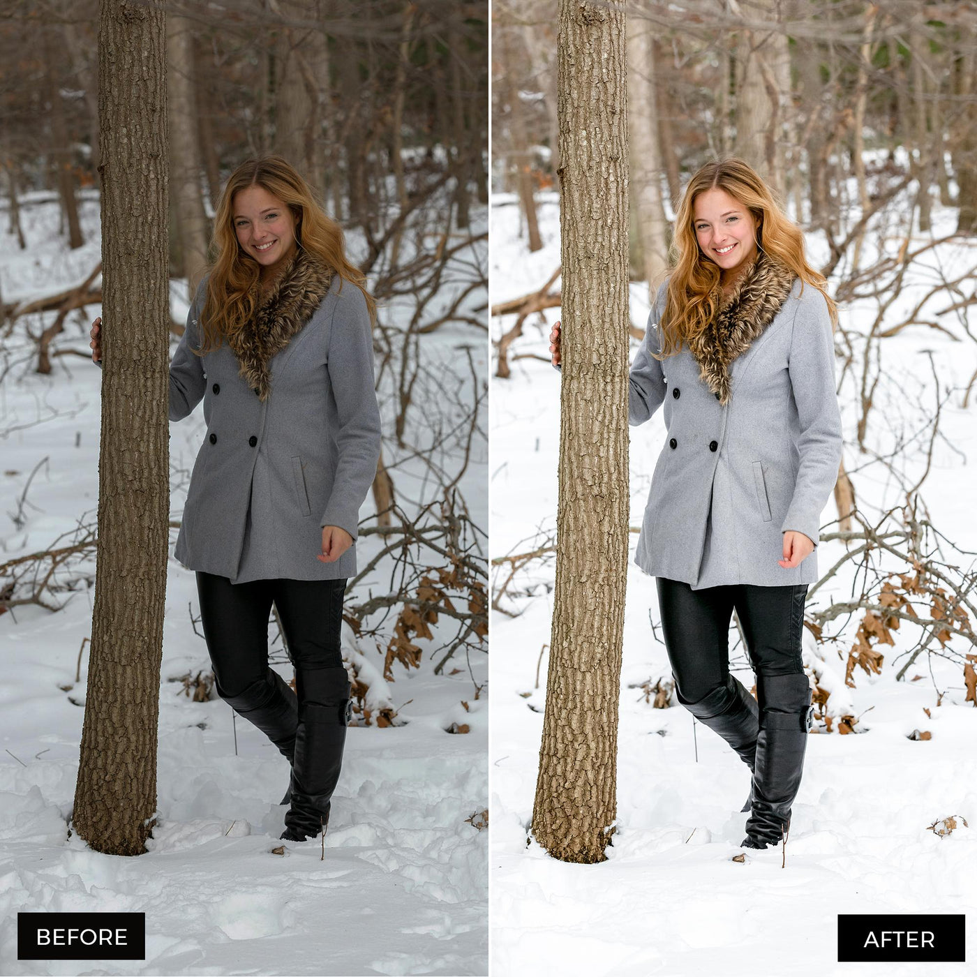 Winter Blogger Presets