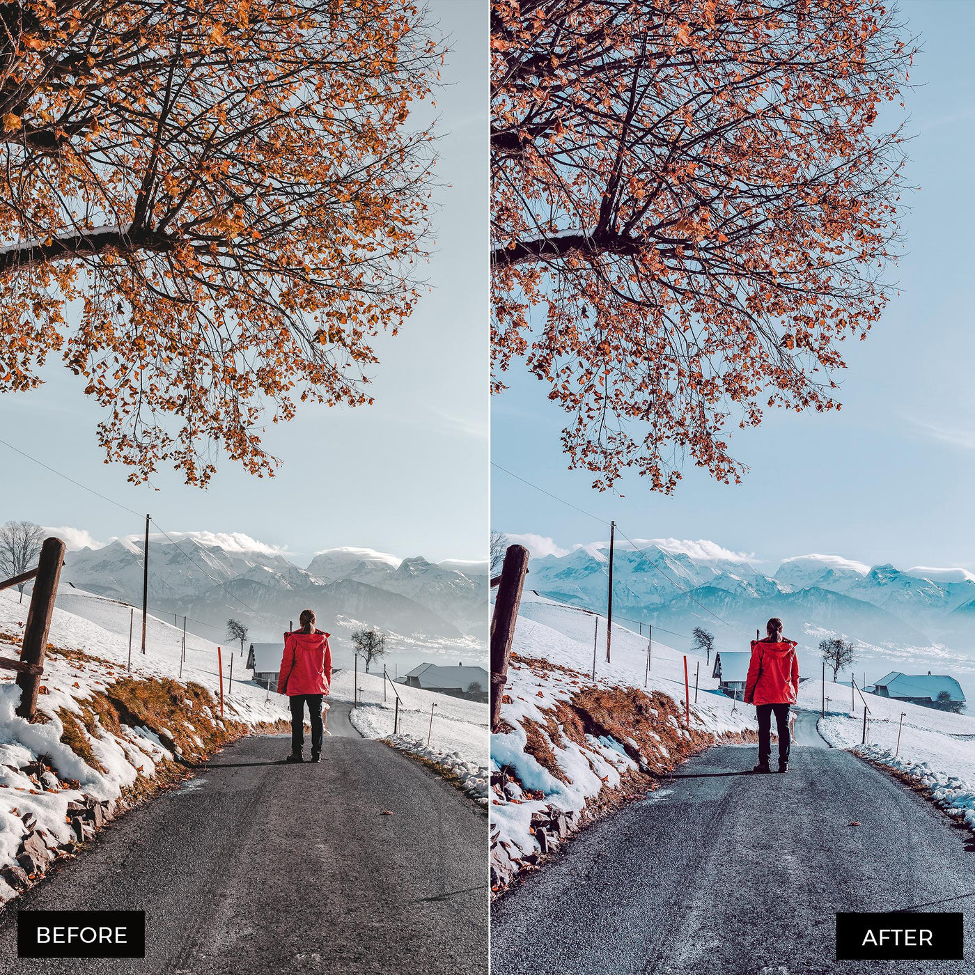 Winter Blues Lightroom Presets