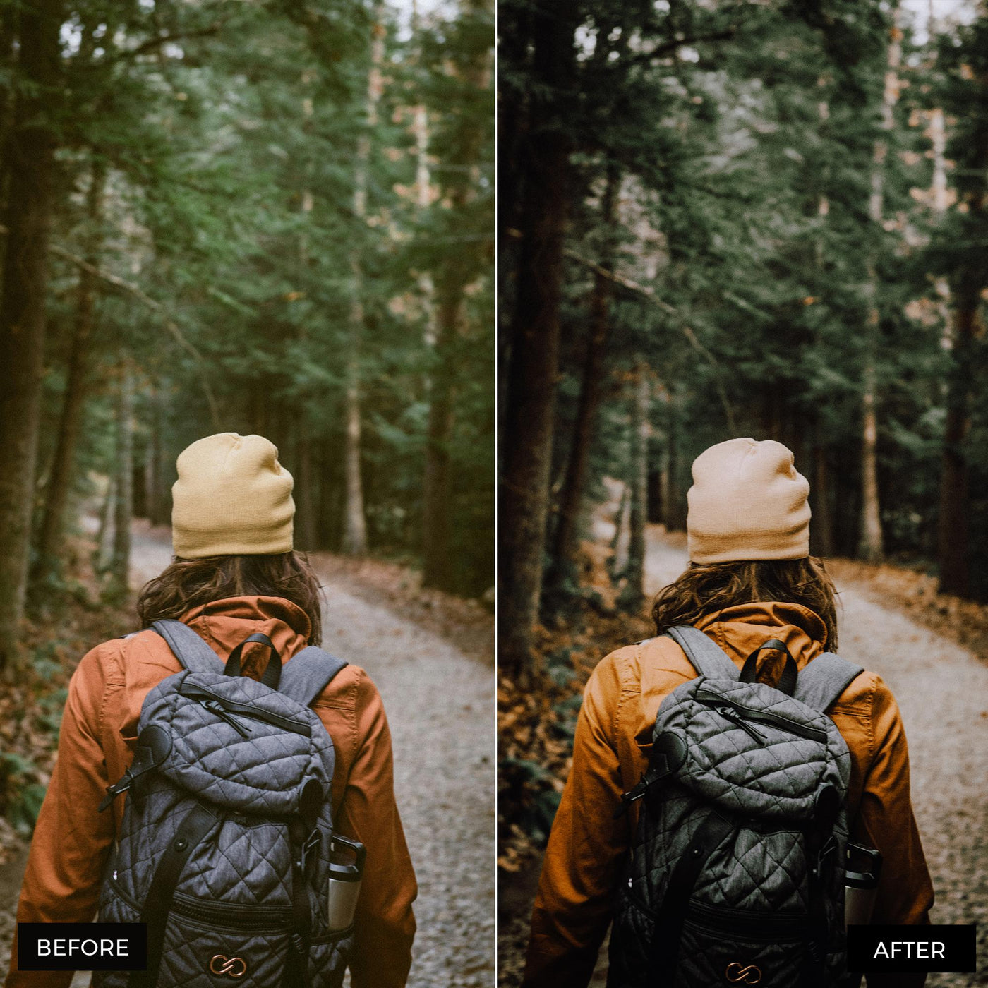 Woodlands Lightroom Presets