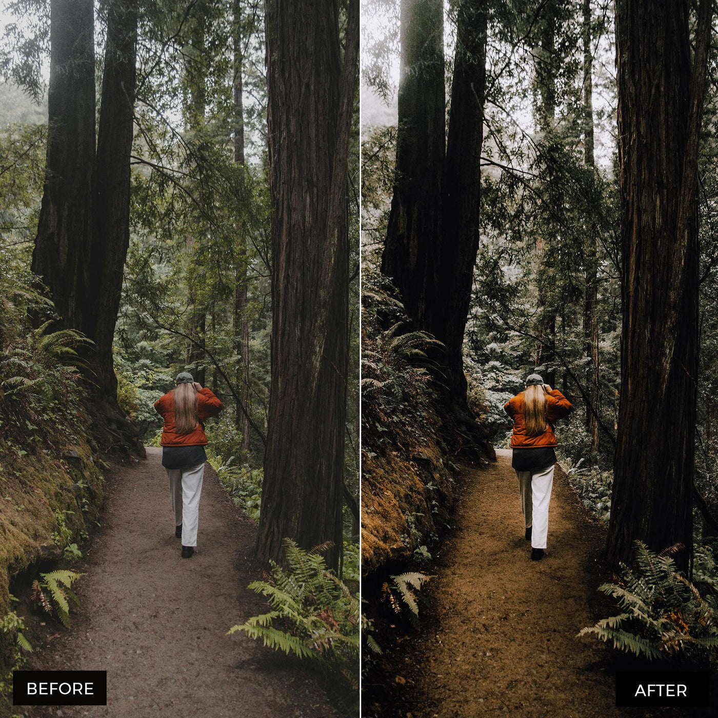 Woodlands Lightroom Presets