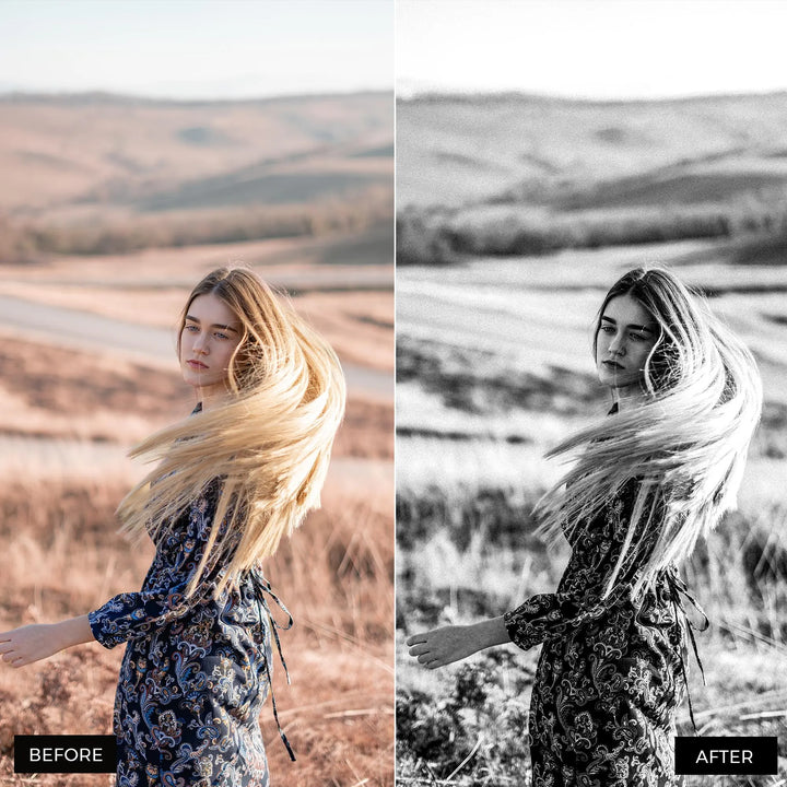 Black And White Lightroom Presets