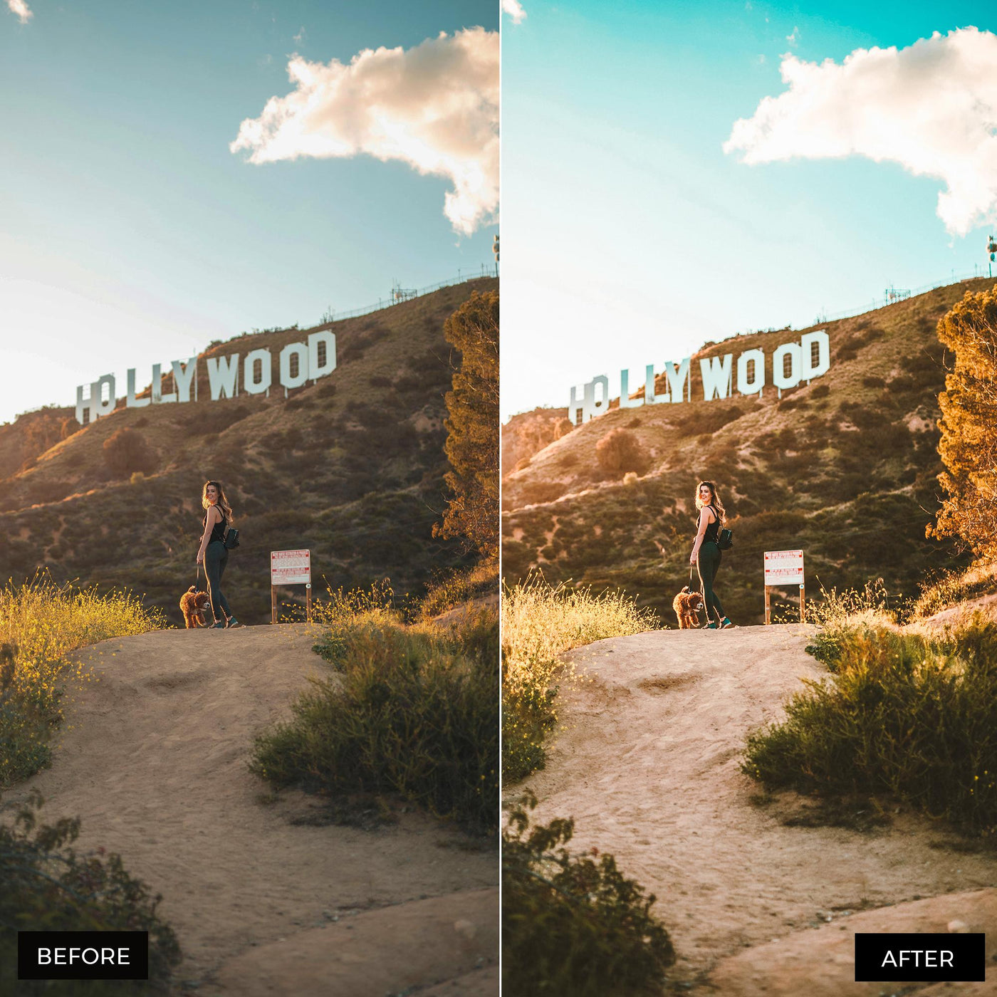 California Lightroom Presets