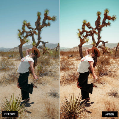 California Lightroom Presets