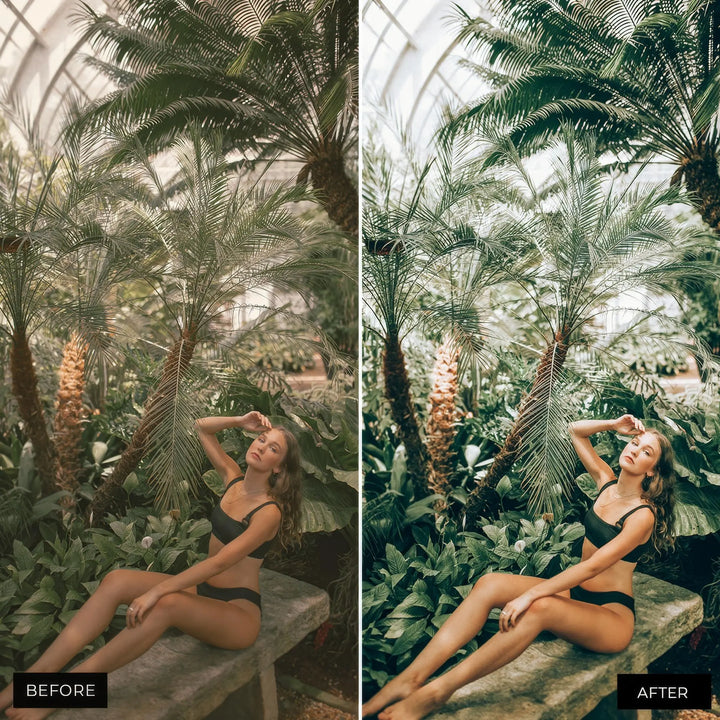 Forest Lightroom Presets 