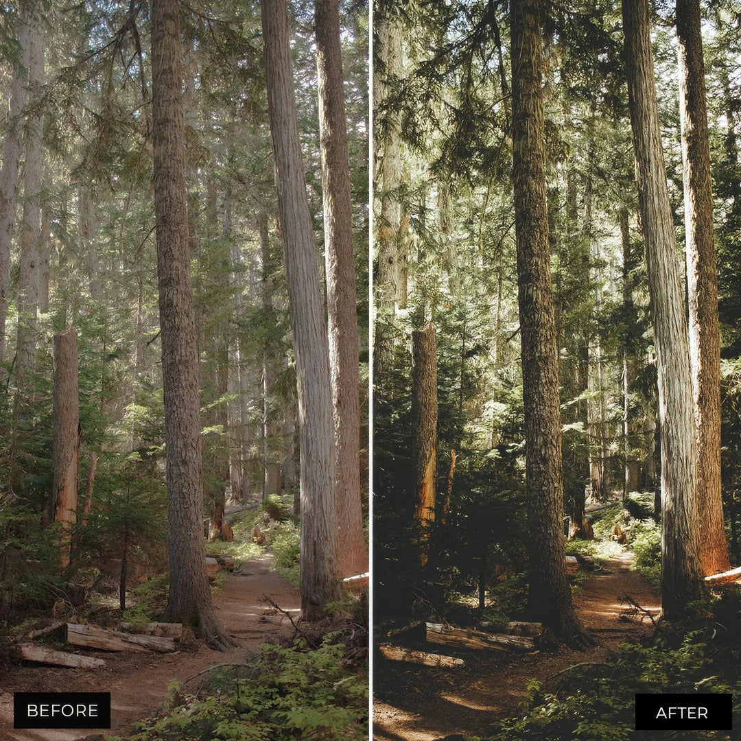 Forest Lightroom Presets 