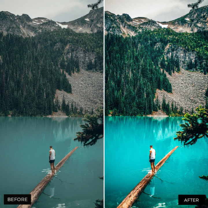 Landscape Presets