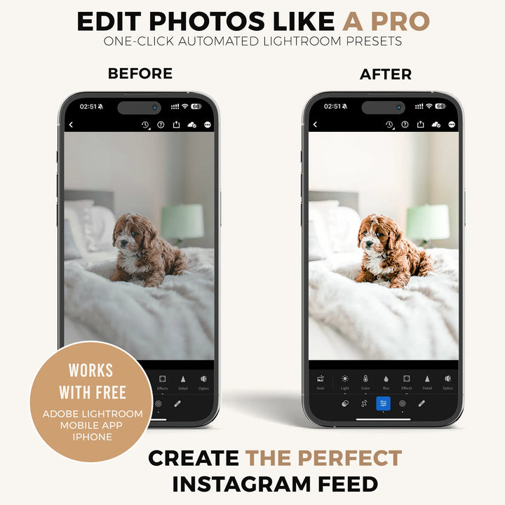 Pets Lightroom Presets