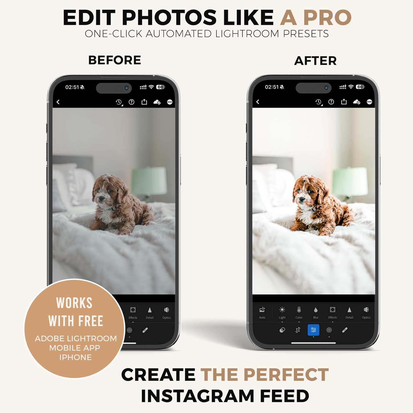 Pets Lightroom Presets