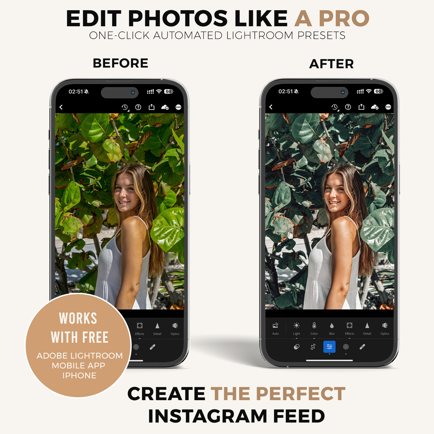 Avocado Lightroom Presets