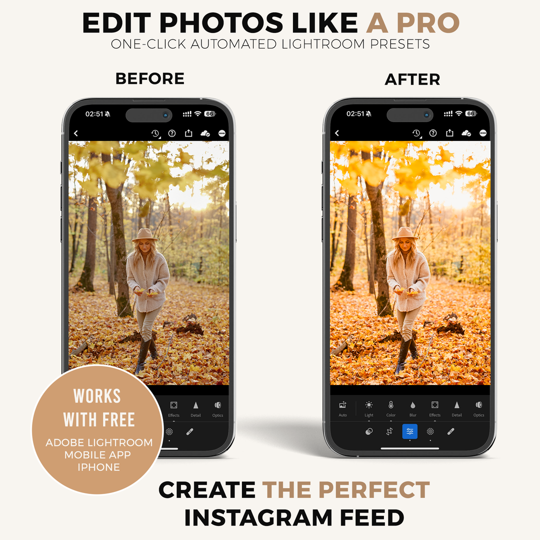 Autumn Gold Lightroom Presets 