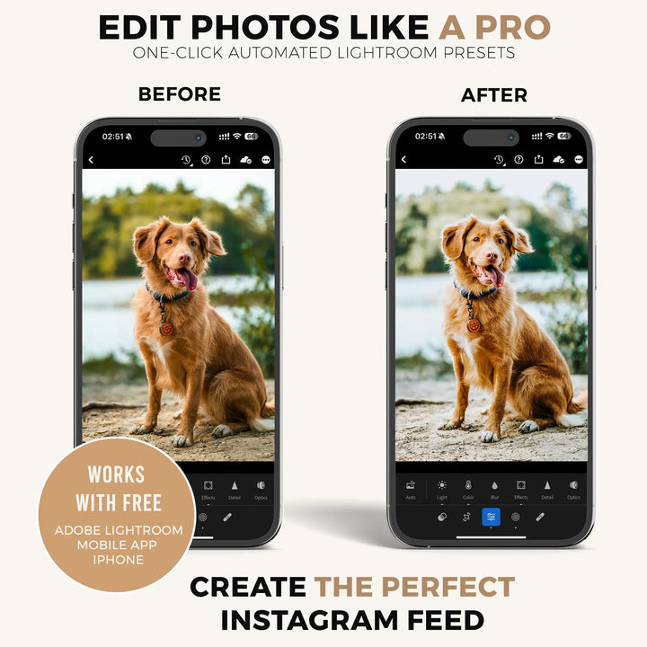 Dog Lovers Lightroom Presets Collection Presetsh.com